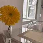 Lejlighed Angolo Di Zoe Trieste