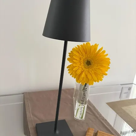 Angolo Di Zoe * Триест